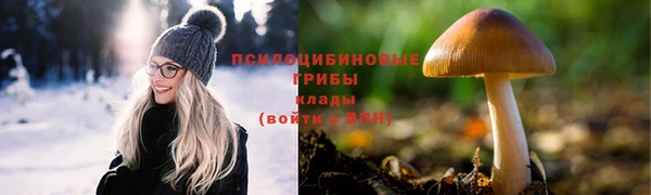 амф Алексеевка