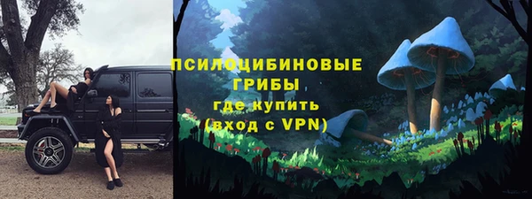 ешки Алексин