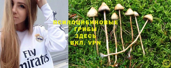 ешки Алексин