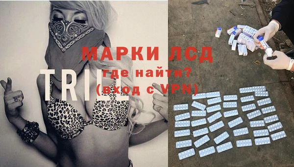 apvp Алзамай